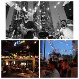 Havana Nights