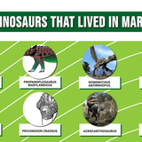 Baltimore! Baltimore! Dinosaur! - A Rhizome LARP