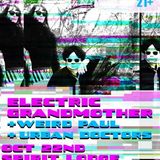The Electric Grandmother