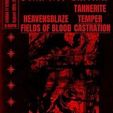 Real Art Tacoma Presents: Tannerite, Heavensblaze, Temper, Fields of Blood, Castration