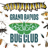 Bug Club!