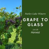 From Grape to Glass: Harvest 2026