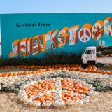 SATURDAY NIGHT CONCERT Live at Junkstock