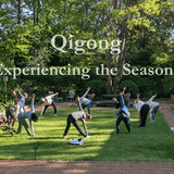 Qigong: Experiencing the Seasons