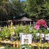 Fall Plant Sale