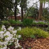 Garden Discovery Tour - Sept