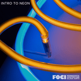 Intro to Neon | September 29-November 3, 2026