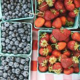 Great Barrington Farmers Market