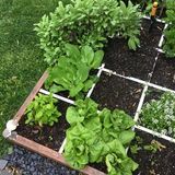 Foot-by-Foot & Refresher Gardening Class 9/26