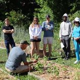 Ultimate Beginner Garden Workshop 9/19