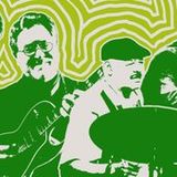Mike Hershenson Band