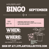 LV Plant Collective: Houseplant Bingo