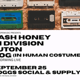 Cash Honey, In Division, Futon, Dog (In Human Costume)