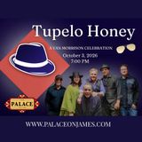 Tupelo Honey - A Van Morrison Celebration