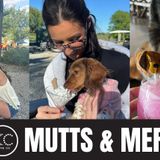 Mutts & Merlot: Dog Friendly Weekend