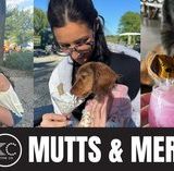 Mutts & Merlot: Dog Friendly Weekend