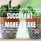Interactive Succulent Bar