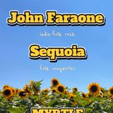 Ferns & Fiddleheads / John Faraone / Sequoia