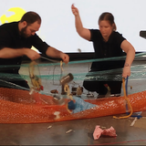 Bryan Day, Shrimp Ring, Klimchak & Alexandria Smith
