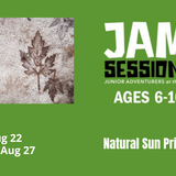 JAM Sessions: Natural Sun Prints