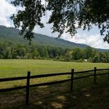 Spirits & Sustainability with Green|Spaces