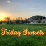 Friday Sunsets with Rob Meany