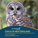 Owls of New England