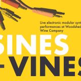 Sines + Vines: Live Electronic Music at Woodshed (September 20)