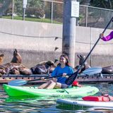 Guided Marina del Rey Paddleboard & Kayak Tours