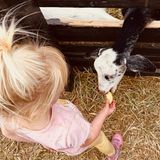 Farmfest