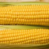 Corn Roast