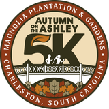 Autumn on the Ashley
