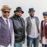 Mojo Blues Cats