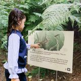 Story Walk - Tales from the Shallows