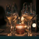 Fernet Cocktail Tasting