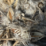 Layers: Photographs by Lynn Bratley