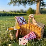 SUNSET PICNIC IN THE VINEYARD | August 29th