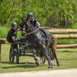 Tryon Fall Combined Driving Event