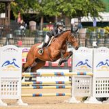 Duke "Jump for the Children" Horse Show II