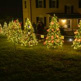 Marshall Plan Tree Walk Lighting Ceremony 2026