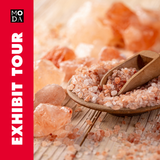 Exhibit Tour of SALT: A Design Story