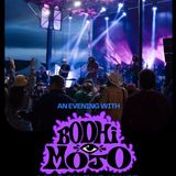bodhi mojo