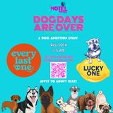 DOG DAYS ARE OVER: A Dog Adoption Event at MTNT!