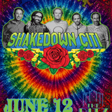 Shakedown Citi