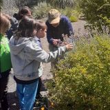 Family-Friendly CA Native People & Plants Tour