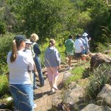 Garden Tours