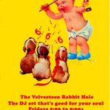 The Velveeteen Rabbit Hole DJ