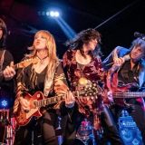 Dog N Butterfly – A Tribute to Heart