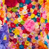 Super Bloom