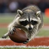Sports Ball